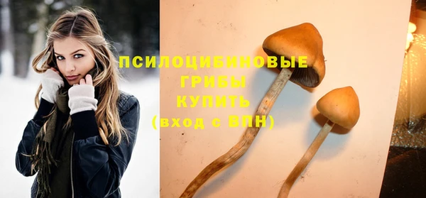 соль ск Алексин