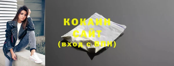 соль ск Алексин