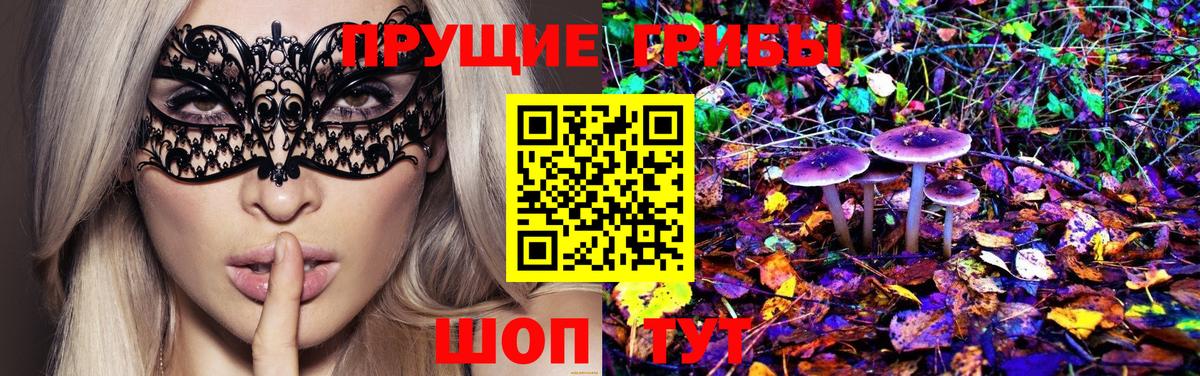 где продают наркотики  Галлюциногенные грибы Magic Shrooms  Вход с VPN  Сосновый Бор  Галлюциногенные грибы Psilocybe 