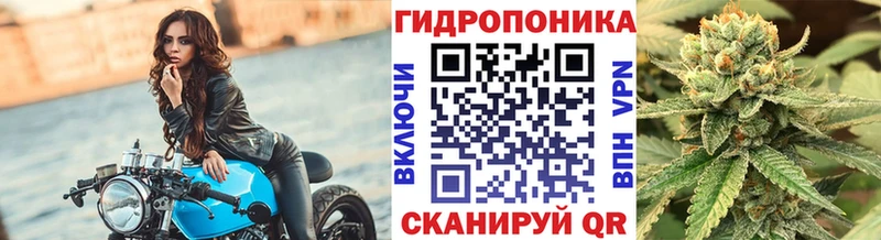 Бошки Шишки индика  дарнет шоп  Сосновый Бор 
