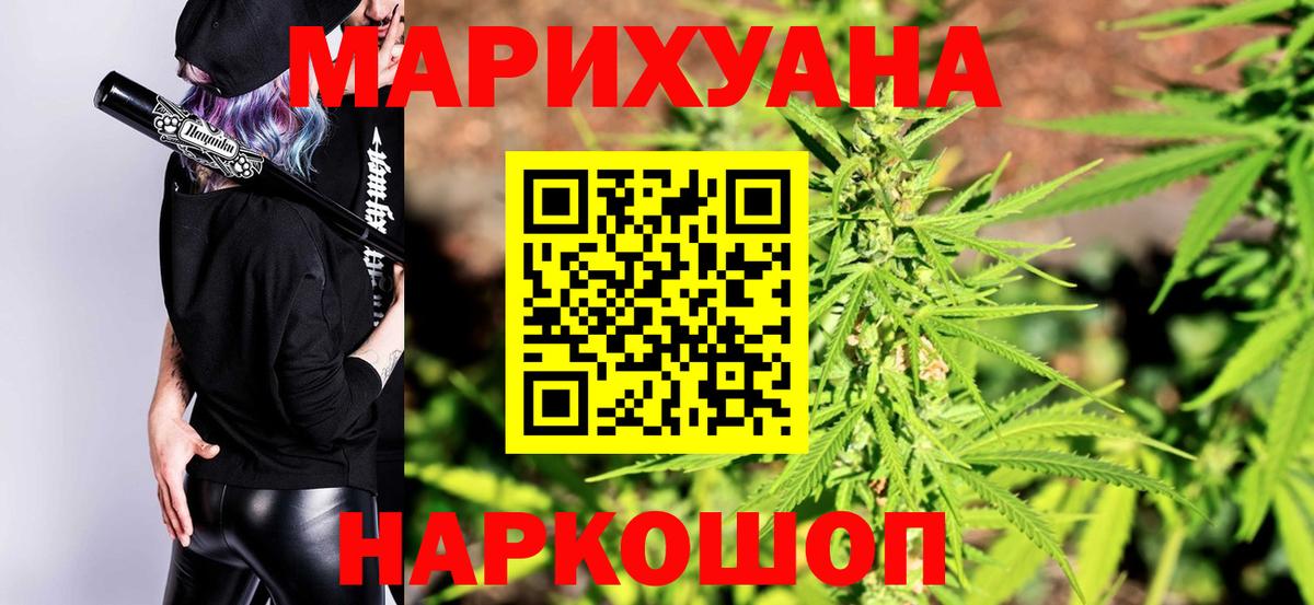 Канабис планчик Сосновый Бор